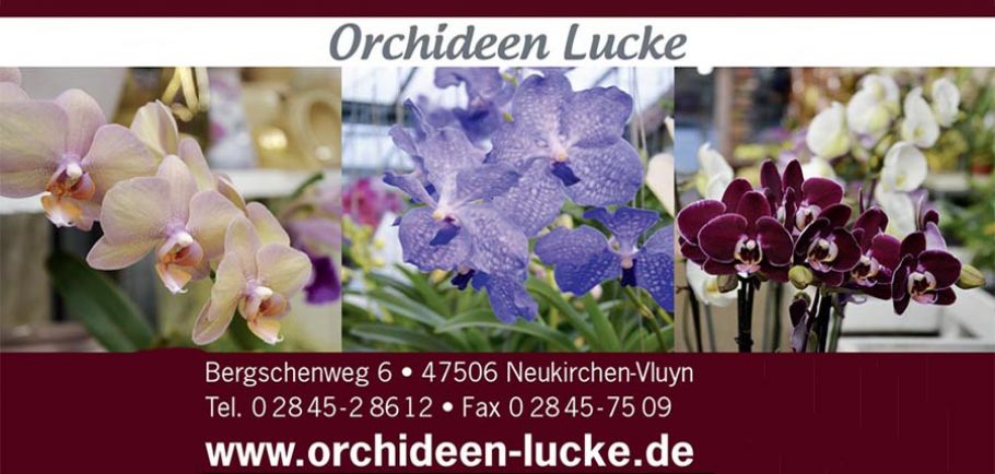 Orchideen-lucke